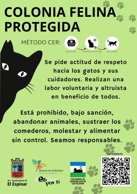 Colonia Felinas